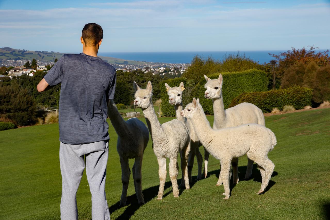 Alpaca Farmstay Dunedin Dış mekan fotoğraf